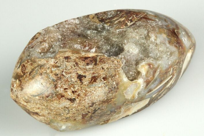 Chalcedony Replaced Gastropod With Sparkly Quartz - India #188789